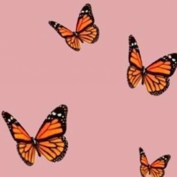 Meet your Posher, Amber - Picture 1 of 1